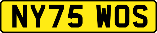 NY75WOS