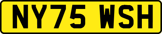 NY75WSH