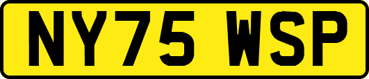NY75WSP