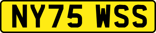 NY75WSS