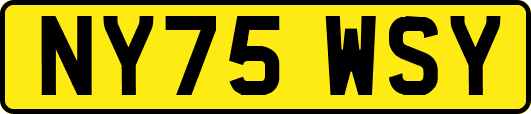 NY75WSY