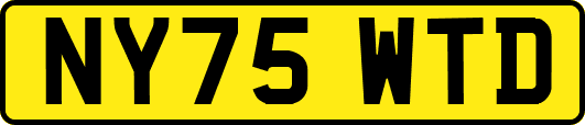 NY75WTD