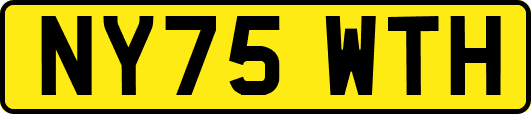 NY75WTH