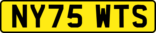 NY75WTS