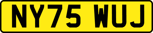NY75WUJ