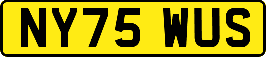 NY75WUS