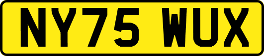 NY75WUX