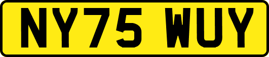 NY75WUY