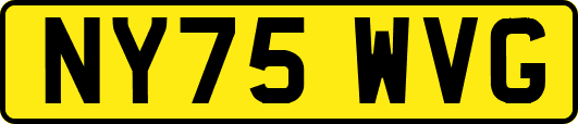 NY75WVG
