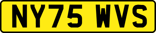 NY75WVS