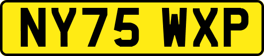 NY75WXP
