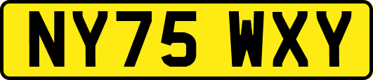 NY75WXY