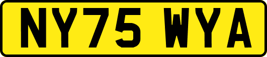 NY75WYA