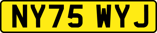 NY75WYJ