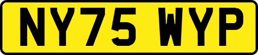 NY75WYP