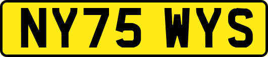 NY75WYS