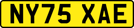 NY75XAE