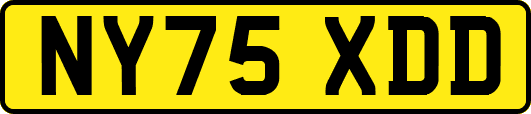 NY75XDD