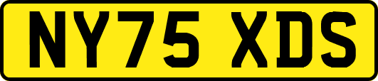 NY75XDS
