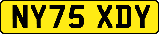 NY75XDY