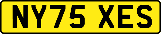 NY75XES