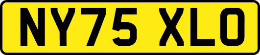 NY75XLO