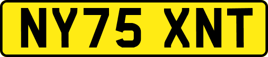 NY75XNT