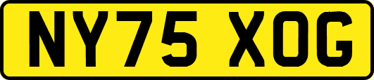NY75XOG