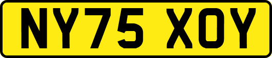 NY75XOY