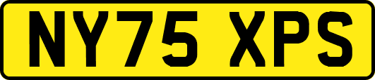 NY75XPS