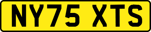 NY75XTS