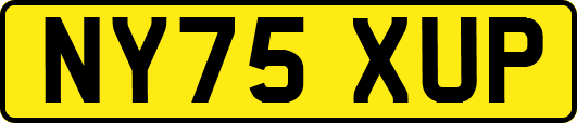 NY75XUP