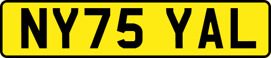 NY75YAL