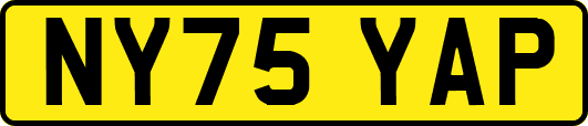 NY75YAP