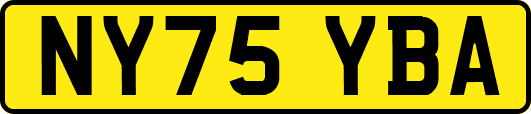 NY75YBA