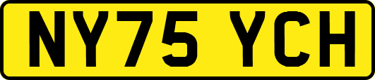 NY75YCH