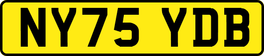 NY75YDB