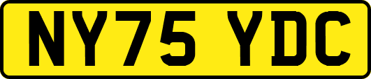NY75YDC
