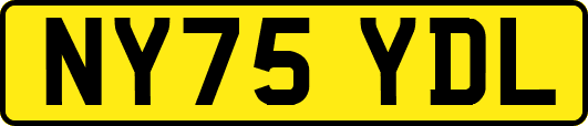 NY75YDL