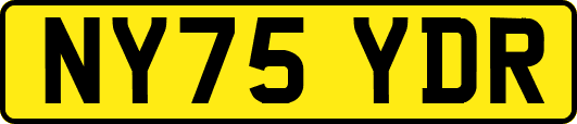 NY75YDR