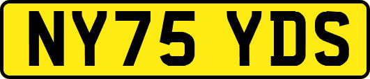 NY75YDS
