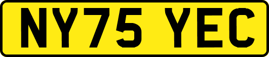 NY75YEC