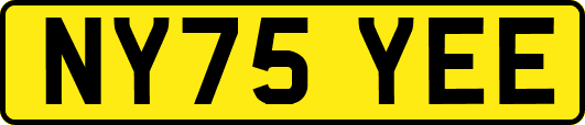NY75YEE