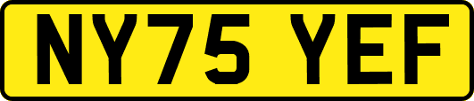 NY75YEF