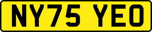 NY75YEO
