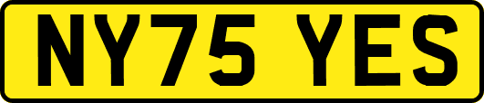 NY75YES