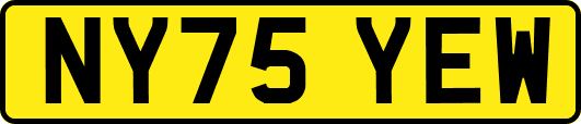 NY75YEW