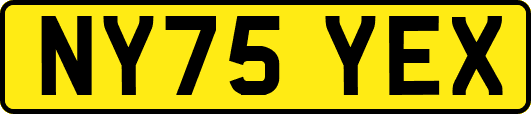 NY75YEX