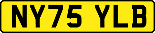 NY75YLB