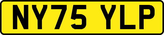 NY75YLP